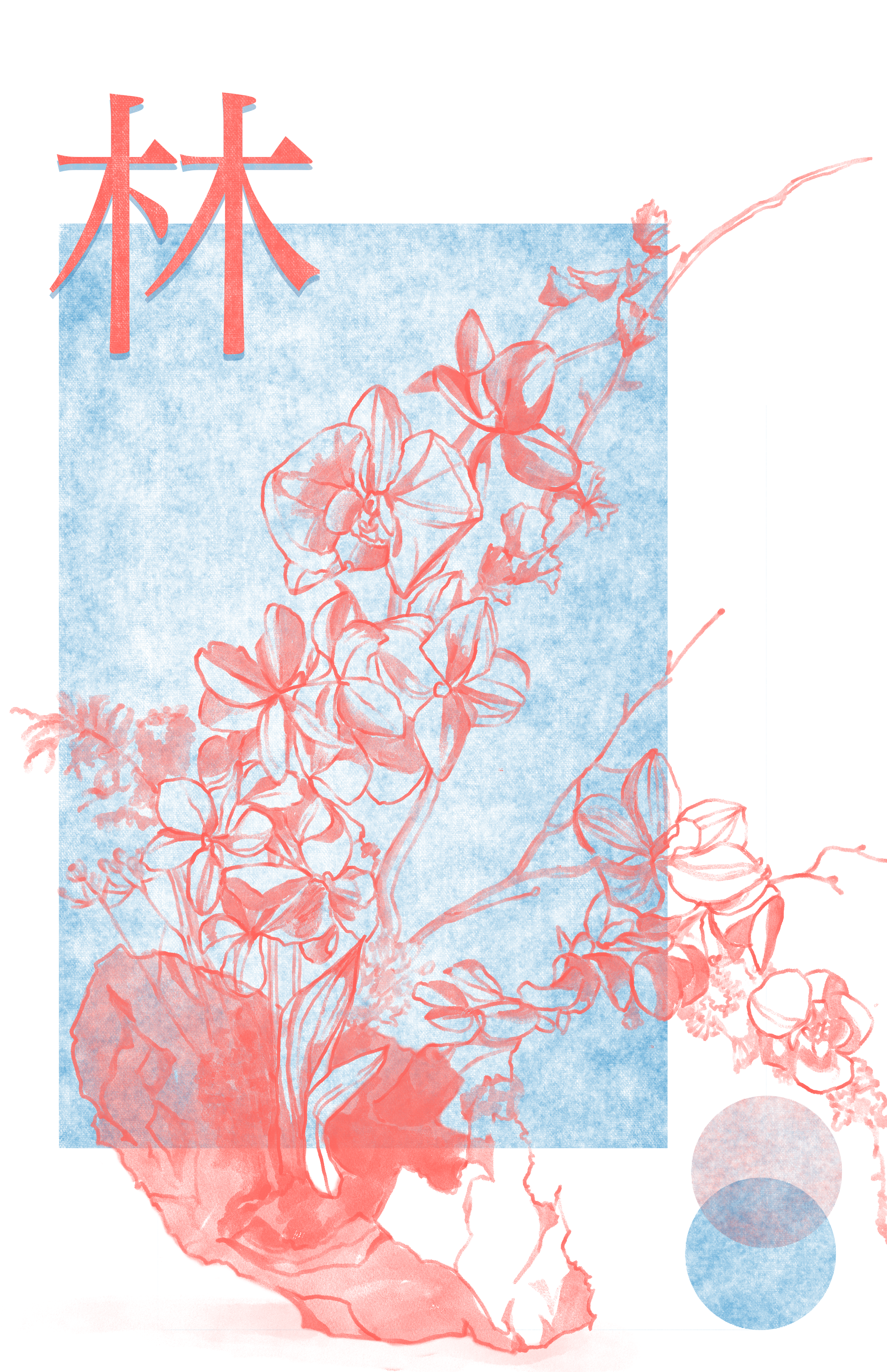 Architectural Study Draw