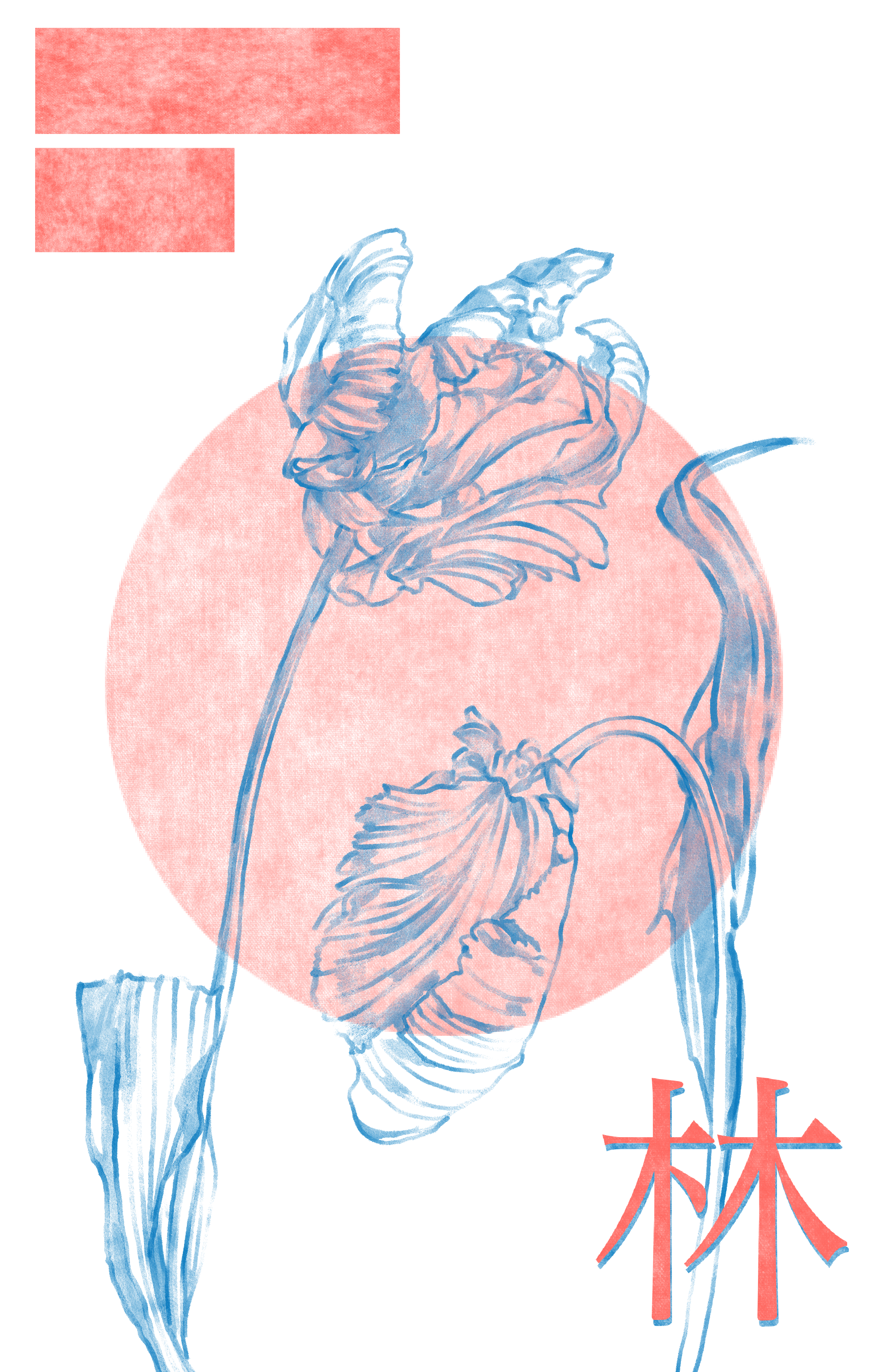 Architectural Study Draw